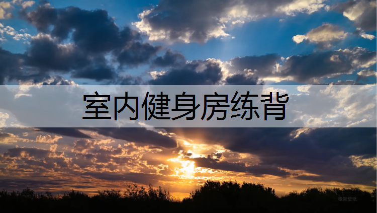 室内健身房练背
