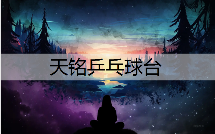 天铭乒乓球台
