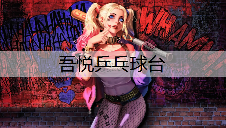 吾悦乒乓球台