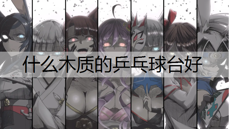 什么木质的乒乓球台好