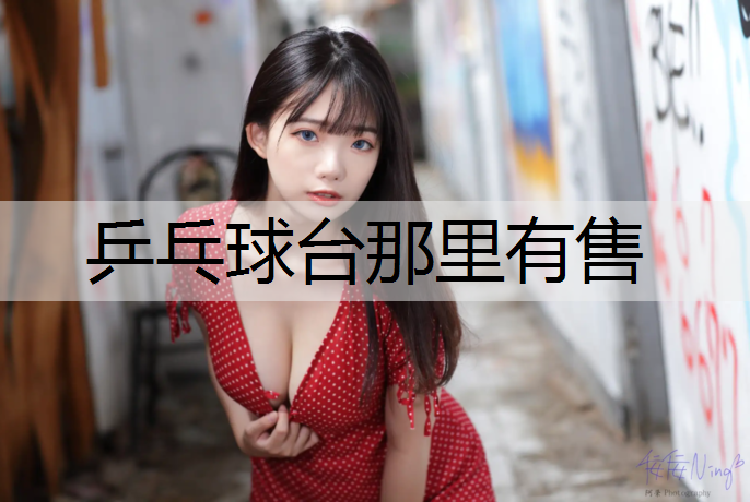 乒乓球台那里有售