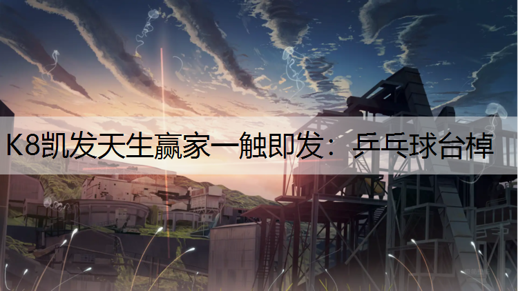 K8凯发天生赢家一触即发：乒乓球台棹