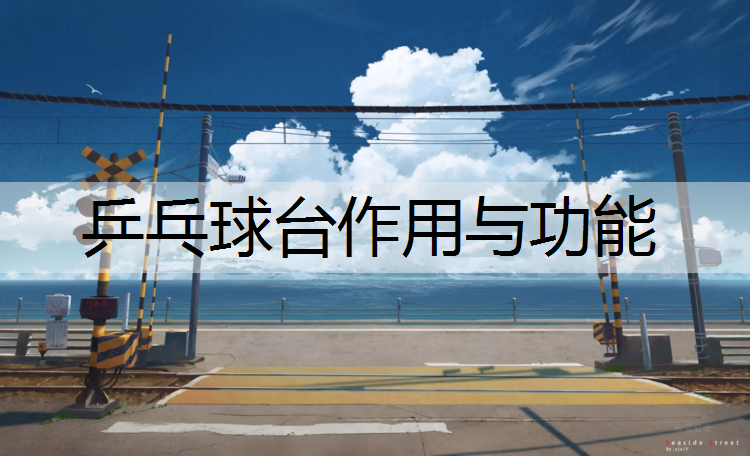 乒乓球台作用与功能