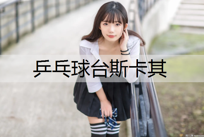 乒乓球台斯卡其
