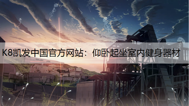 K8凯发中国官方网站：仰卧起坐室内健身器材