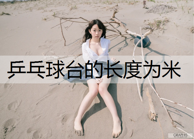 乒乓球台的长度为米