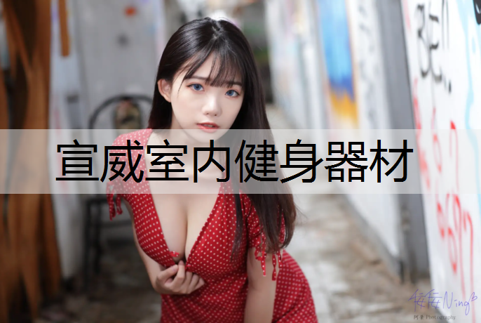 宣威室内健身器材
