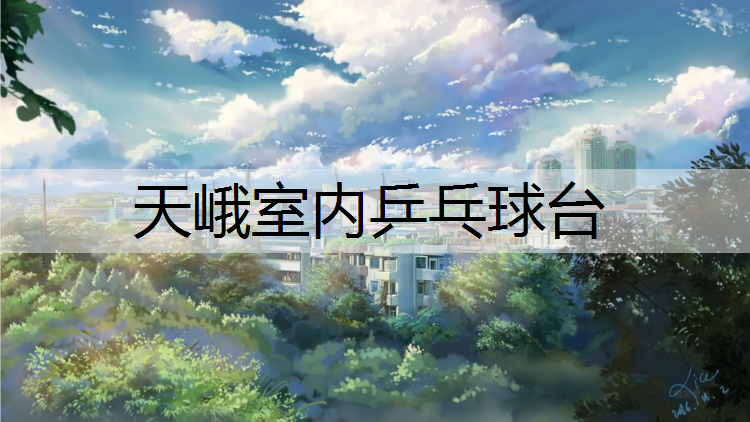 天峨室内乒乓球台