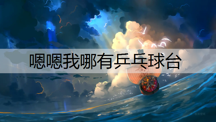 嗯嗯我哪有乒乓球台