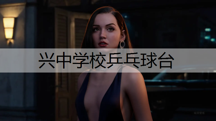 兴中学校乒乓球台
