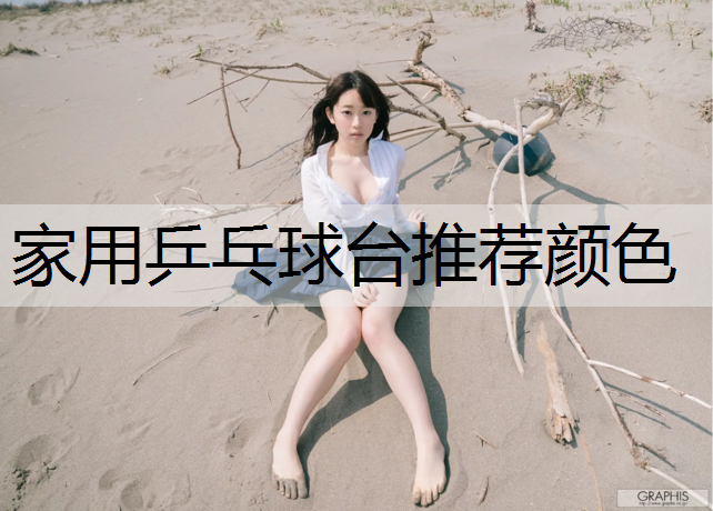 家用乒乓球台推荐颜色