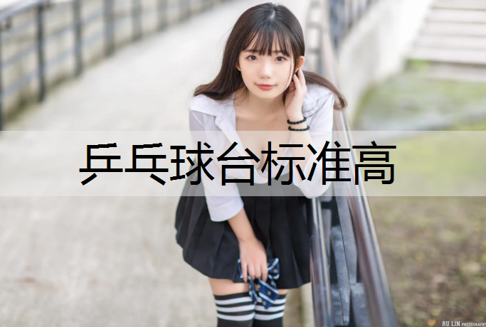 乒乓球台标准高
