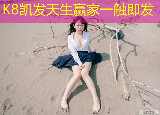 K8凯发国际官方网站：利用儿童木质游乐设施培养儿童责任感的实践经验总结。