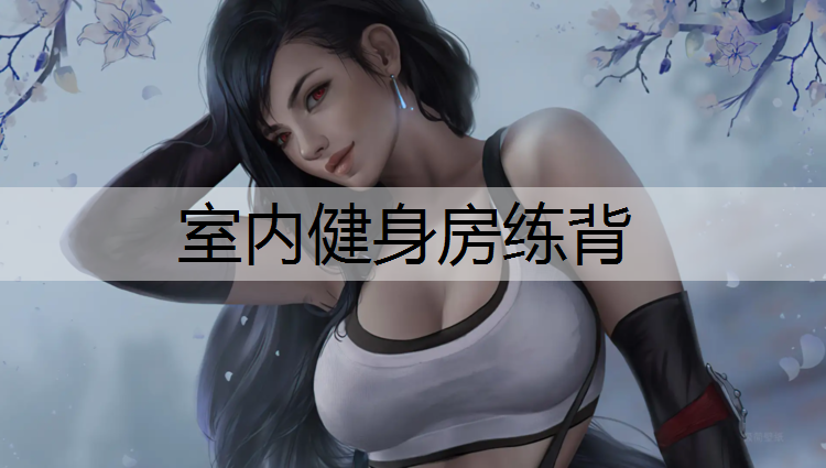 室内健身房练背
