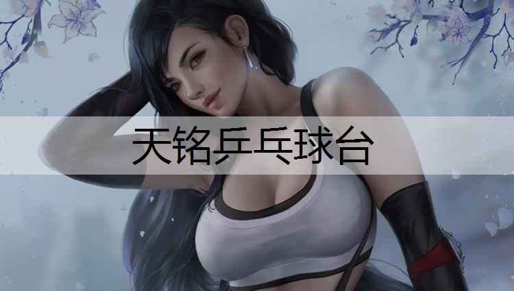 天铭乒乓球台