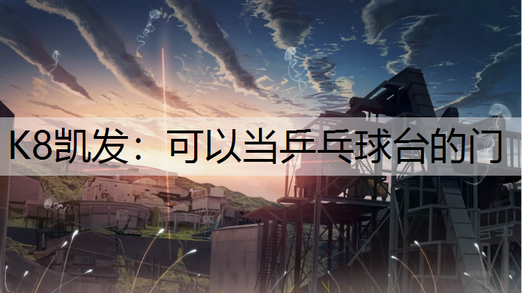 可以当乒乓球台的门