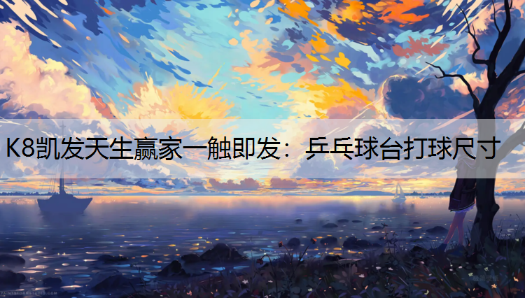乒乓球台打球尺寸