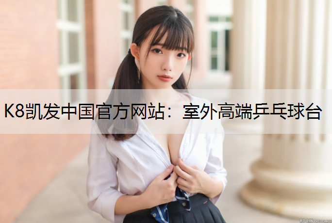 室外高端乒乓球台