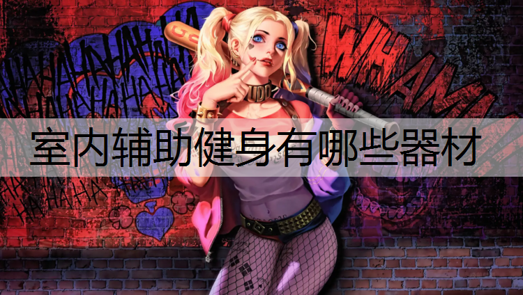 室内辅助健身有哪些器材