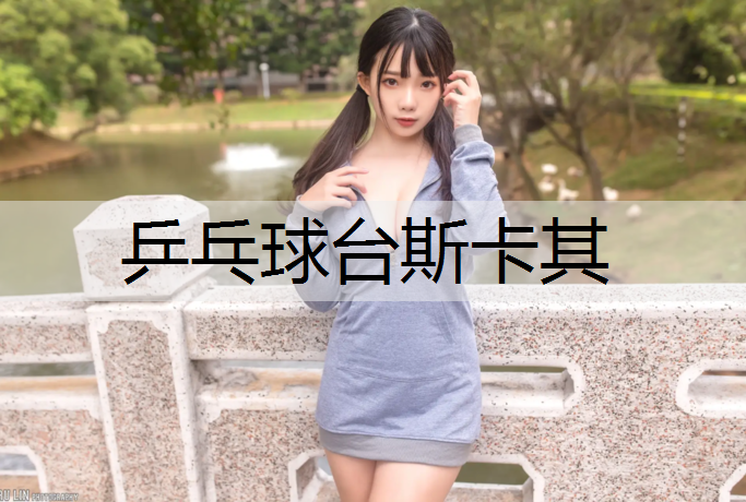 乒乓球台斯卡其