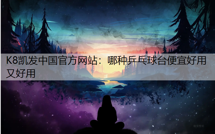 哪种乒乓球台便宜好用又好用