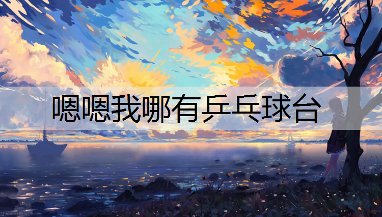 嗯嗯我哪有乒乓球台