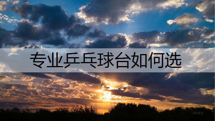 专业乒乓球台如何选