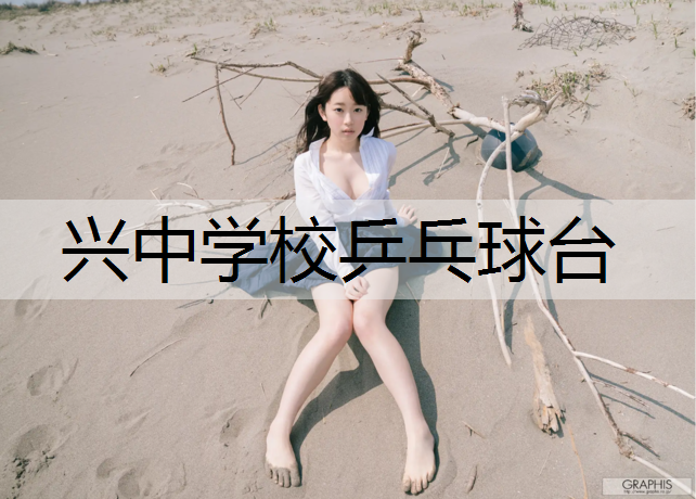 兴中学校乒乓球台