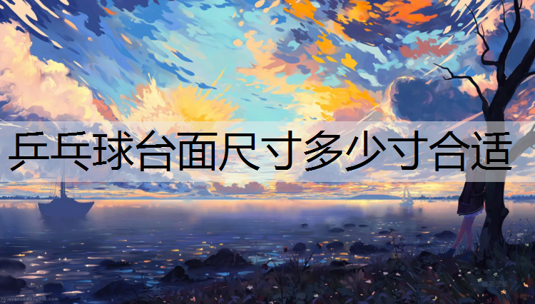 乒乓球台面尺寸多少寸合适
