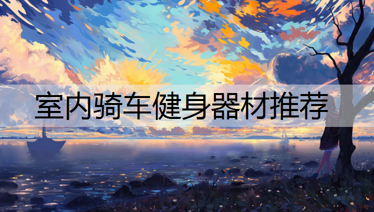 室内骑车健身器材推荐
