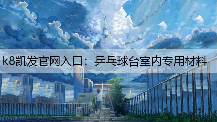 乒乓球台室内专用材料 乒乓球台室内专用材料